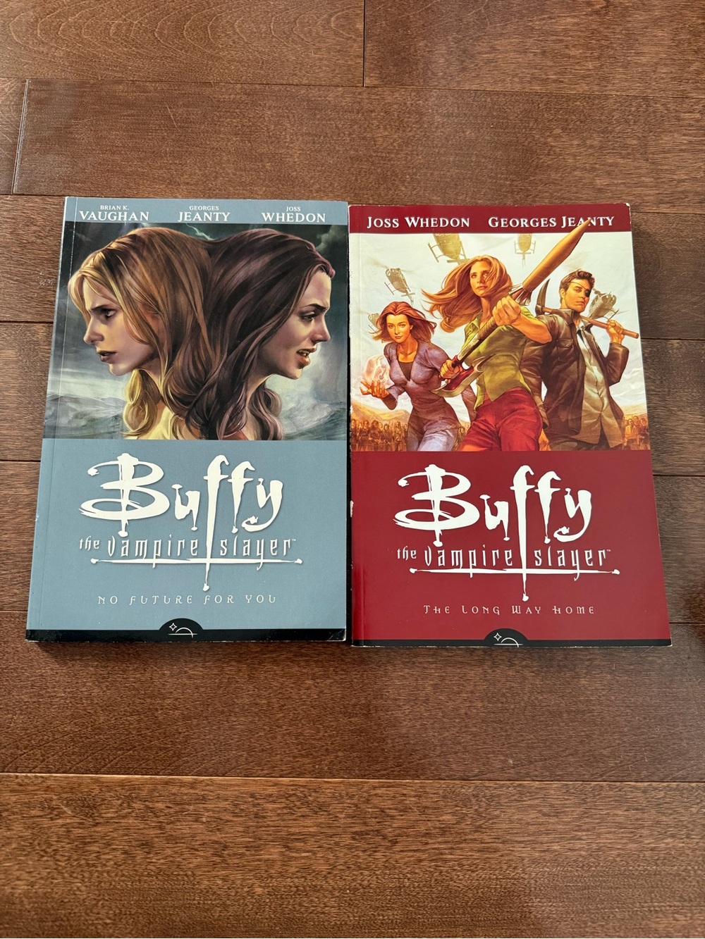 Buffy the Vampire Slayer Graphic Novels - Blue & Red Covers